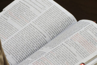 Thumbnail for the post titled: Bible Study Sunday, December 8, 2024
